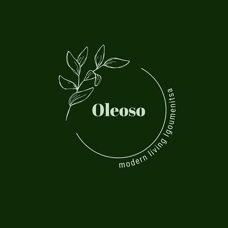 Oleoso Apartment อีกูเมนิทซา ภายนอก รูปภาพ